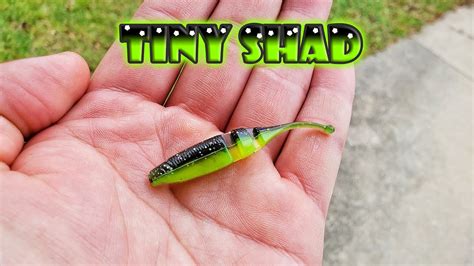 Catching More Fish with Lake Fork Live Magic Shad: A Deep Dive